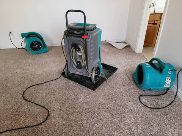 Best Flood restoration services  in Matawan, NJ