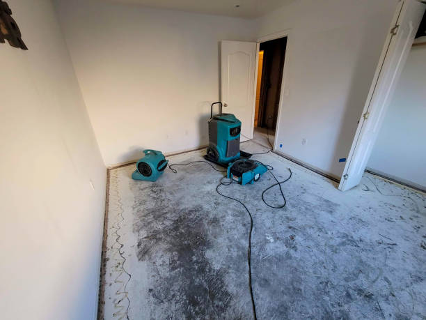 Best 24-hour water damage restoration  in Matawan, NJ