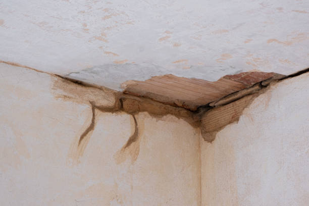 Best Local water damage restoration  in Matawan, NJ