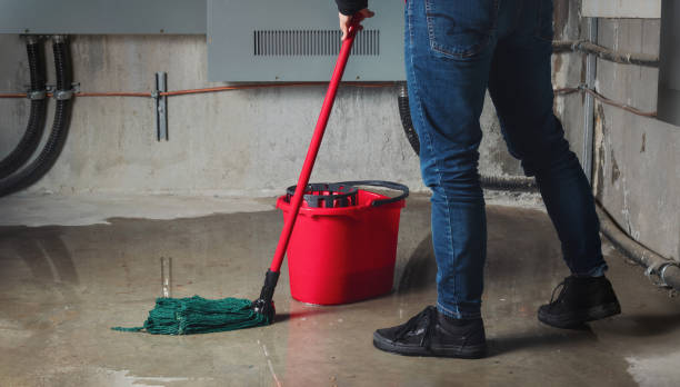 Best Flood damage cleanup  in Matawan, NJ