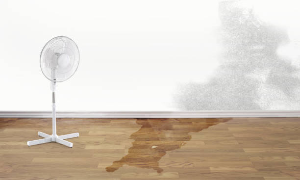 Best Residential water damage restoration  in Matawan, NJ