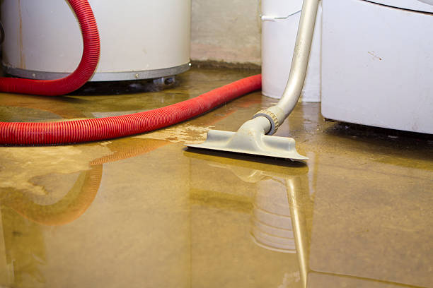 Best Water damage cleanup near me  in Matawan, NJ