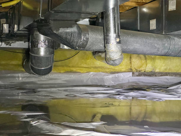 Best Water damage cleanup near me  in Matawan, NJ